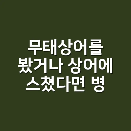 무태상어를 봤거나 상어에 스쳤다면 병원에 가야 할까요? - 요약
