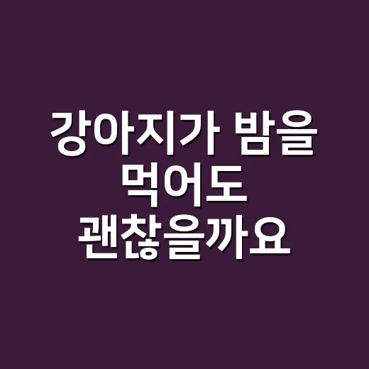 강아지가 밤을 먹어도 괜찮을까요? 삶은 밤과 말밤은 꼭 구분하셨나요? - 요약