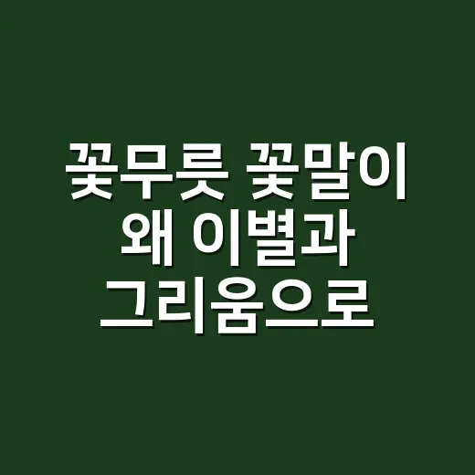 꽃무릇 꽃말이 왜 이별과 그리움으로 알려졌을까요? - 요약