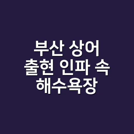 부산 상어 출현 인파 속 해수욕장, 몸 이상 신호는 어떻게 봐야 할까요? - 요약