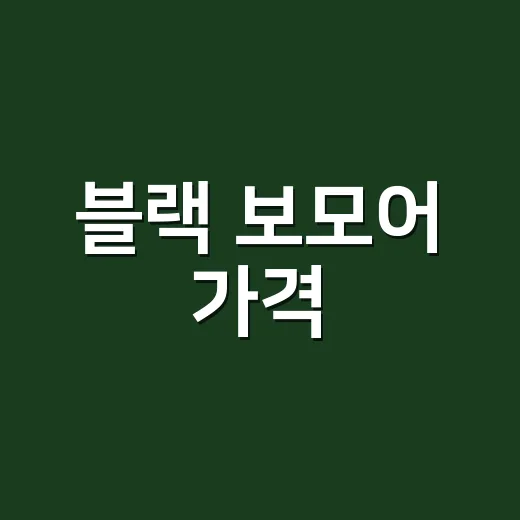 블랙 보모어 가격, 왜 이렇게까지 비쌀까요? - 요약