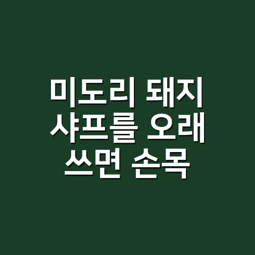 미도리 돼지 샤프를 오래 쓰면 손목 통증이 생길까요? - 요약