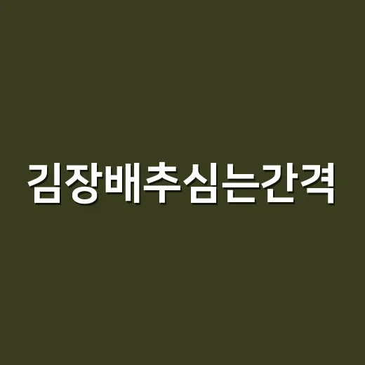 김장배추심는간격, 너무 좁게 심고 계신가요? - 요약