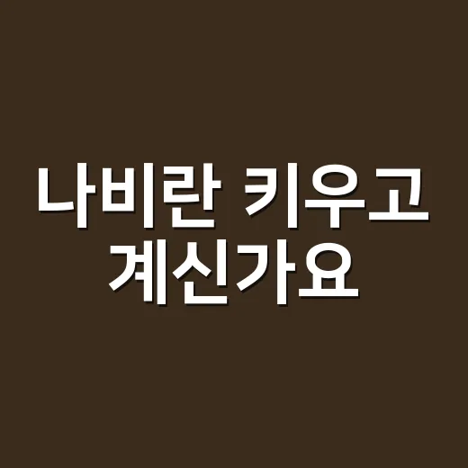 나비란 키우고 계신가요, 실내식물이 호흡기에는 괜찮을까요? - 요약