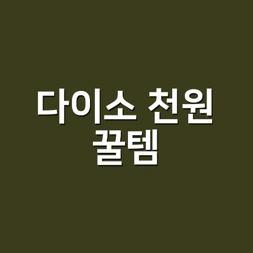 다이소 천원 꿀템, 옆사람도 담는 제품 왜 집에 하나쯤 필요할까요? - 요약