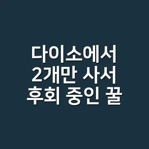 다이소에서 2개만 사서 후회 중인 꿀템, 집에 몇 개쯤 필요할까요? - 요약