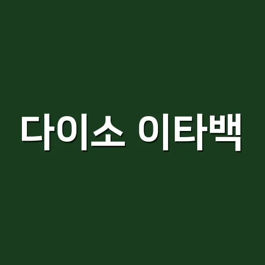다이소 이타백, 예쁘게 꾸미다 어깨와 손목이 아프신가요? - 요약
