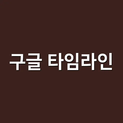 구글 타임라인, 병원 갈 때 증상 기록으로 써도 될까요? - 요약