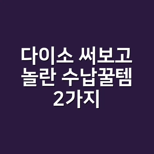 다이소 써보고 놀란 수납꿀템 2가지, 왜 이렇게 편할까요? - 요약