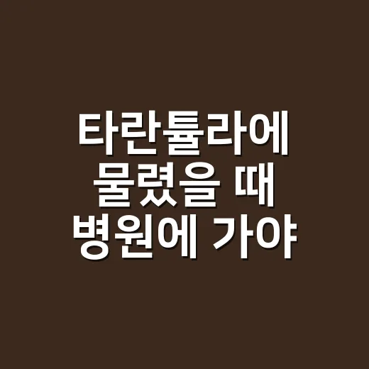 타란튤라에 물렸을 때 병원에 가야 할까요? - 요약