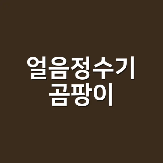 얼음정수기 곰팡이, 그냥 닦고 써도 괜찮을까요? - 요약