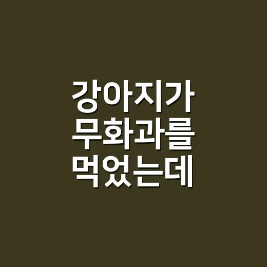 강아지가 무화과를 먹었는데 괜찮을까요? - 요약