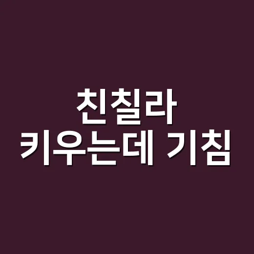 친칠라 키우는데 기침·발진·설사가 생겼나요? - 요약