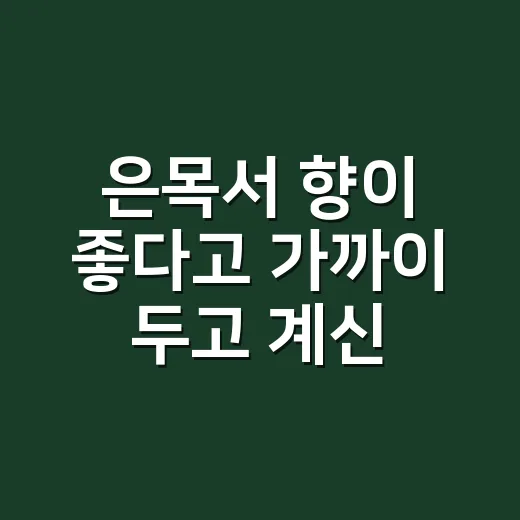 은목서 향이 좋다고 가까이 두고 계신가요? - 요약