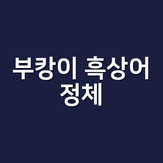 부캉이 흑상어 정체, 사람에게 위험한 상어일까요? - 요약