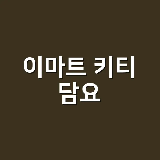 이마트 키티 담요, 예쁘다고 바로 덮고 계신가요? - 요약