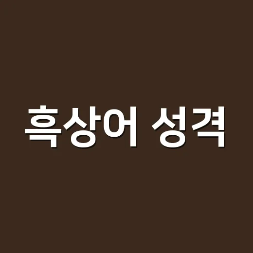 흑상어 성격, 정말 순한 관상어로 키워도 괜찮을까요? - 요약