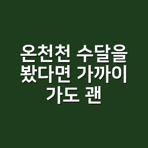 온천천 수달을 봤다면 가까이 가도 괜찮을까요? - 요약