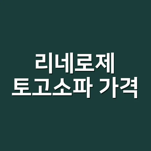리네로제 토고소파 가격, 예쁜데 허리에는 괜찮을까요? - 요약