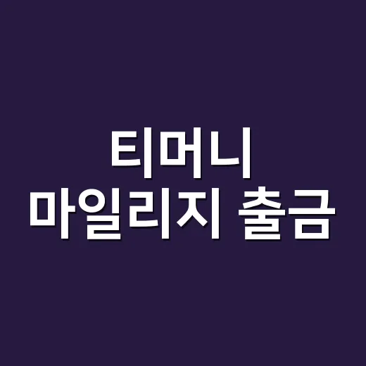 티머니 마일리지 출금, 바로 현금으로 받을 수 있나요? - 요약
