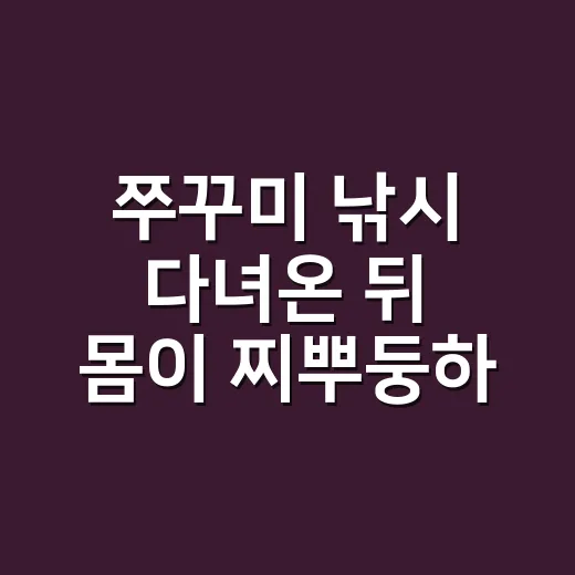 쭈꾸미 낚시 다녀온 뒤 몸이 찌뿌둥하신가요? 그냥 피곤한 걸까요? - 요약