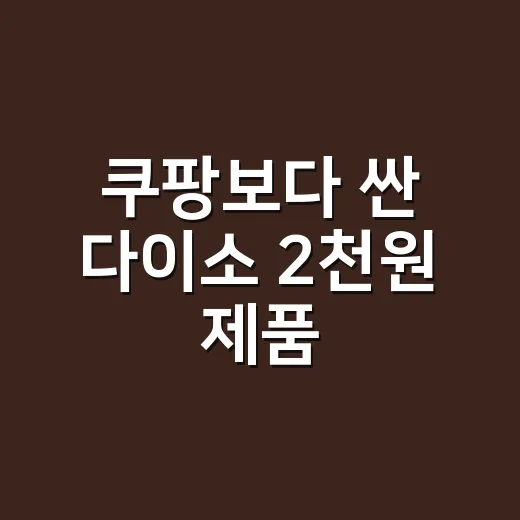 쿠팡보다 싼 다이소 2천원 제품, 집에 하나쯤 두면 좋은 건 뭘까요? - 요약