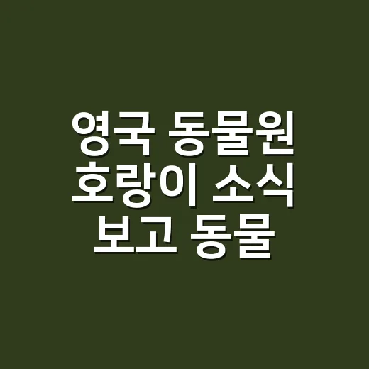 영국 동물원 호랑이 소식 보고 동물 물림 사고가 걱정되셨나요? - 요약