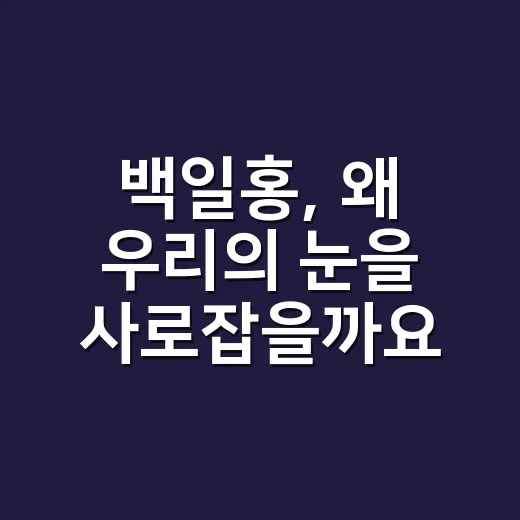 백일홍, 왜 우리의 눈을 사로잡을까요? - 요약