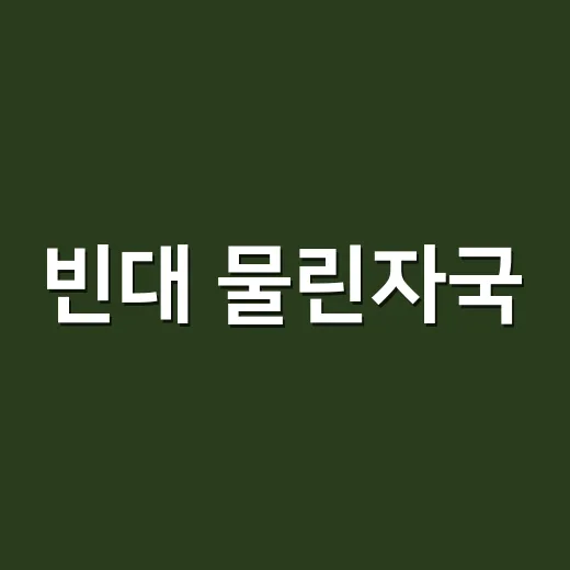 빈대 물린자국, 모기 물린 곳과 어떻게 다를까요? - 요약
