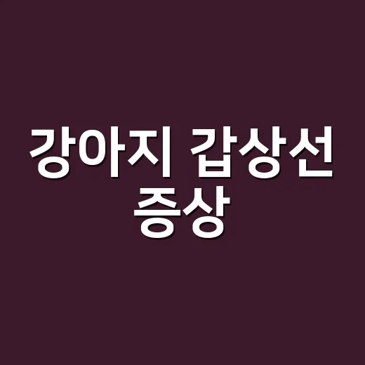강아지 갑상선 증상, 살이 찌면 의심해야 할까요? - 요약