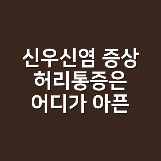 신우신염 증상 허리통증은 어디가 아픈 걸까요? - 요약