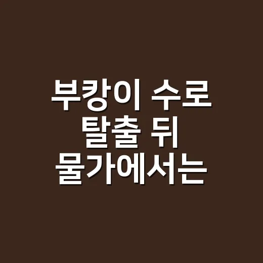 부캉이 수로 탈출 뒤 물가에서는 무엇을 조심해야 할까요? - 요약