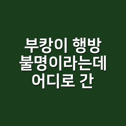 부캉이 행방 불명이라는데 어디로 간 걸까요? - 요약