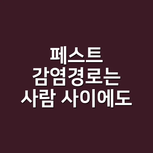 페스트 감염경로는 사람 사이에도 있나요? - 요약