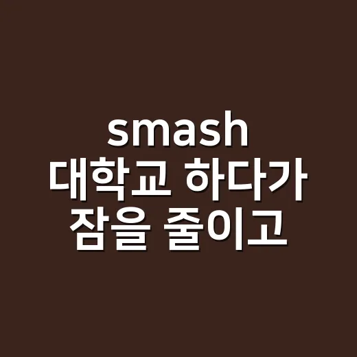 smash 대학교 하다가 잠을 줄이고 계신가요? - 요약