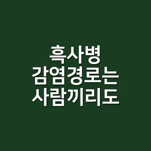 흑사병 감염경로는 사람끼리도 이어질까요? - 요약