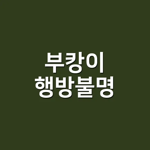부캉이 행방불명, 바닷가 안전은 괜찮을까요? - 요약