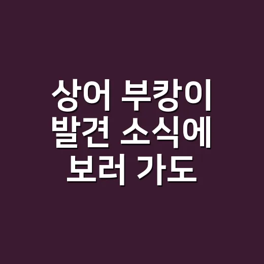 상어 부캉이 발견 소식에 보러 가도 될까요? - 요약
