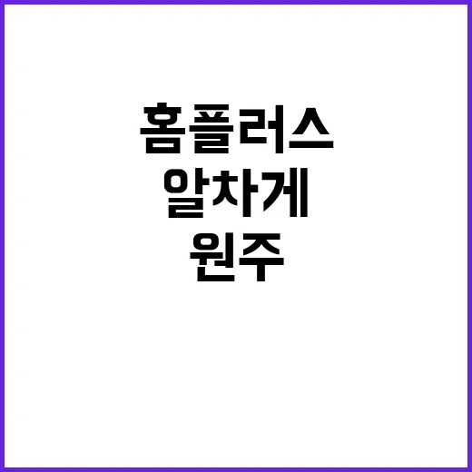 원주 홈플러스에서 알차게 쇼핑하는 방법 - 요약