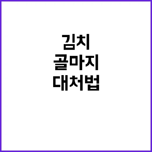 김치 골마지를 예방하는 방법과 대처법 - 요약