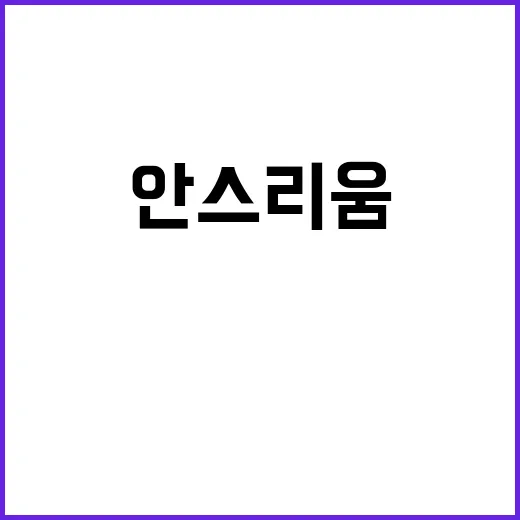 초보자를 위한 안스리움 키우는 방법, 꽃 오래 보려면 이렇게 관리하세요 - 요약