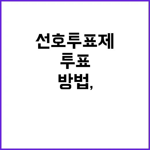 초보자를 위한 선호투표제 방법, 순위만 매기면 되는 투표 이해하기 - 요약