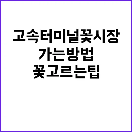 고속터미널 꽃시장 처음 가는 방법, 시간대부터 꽃 고르는 팁까지 - 요약