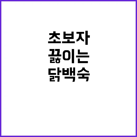 닭백숙 레시피 초보자도 국물 진하게 끓이는 방법 - 요약