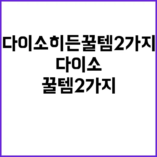 다이소 히든 꿀템 2가지 추천, 실패 없이 고르는 방법 - 요약