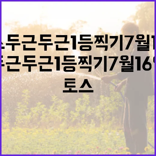 토스 두근두근 1등찍기 7월16일 참여하려면 이렇게 고르세요 - 요약
