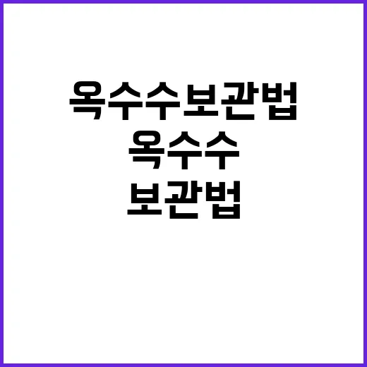 옥수수 보관법 제대로 하려면 이렇게 해두세요 - 요약