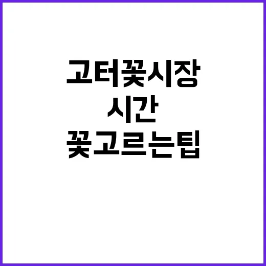 고터 꽃시장 처음 가는 방법, 시간부터 꽃 고르는 팁까지 - 요약