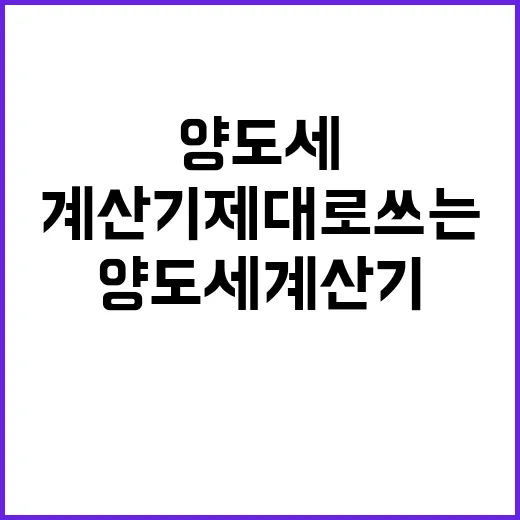 양도세계산기 제대로 쓰는 방법, 입력 전에 챙길 것들