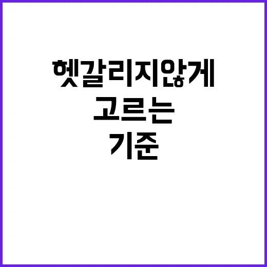 도요타 차 고르는 방법, 처음 보는 사람도 헷갈리지 않게 보는 기준 - 요약